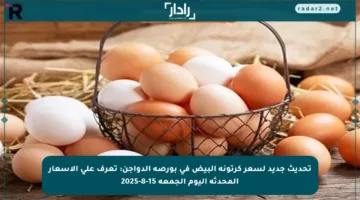 تحديث جديد لسعر كرتونة البيض في بورصة الدواجن: تعرف على الأسعار المحدثة اليوم الجمعة 15-8-2025